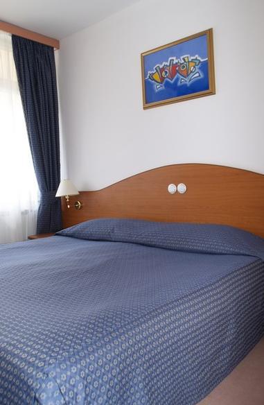 Double room - Nord side - Extra bed, park side